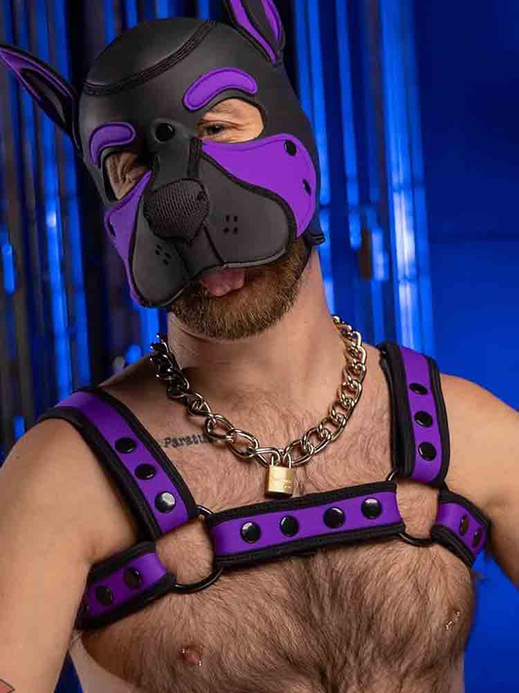 Mister S Neo BOLD COLOR BULLDOG Harness - purple