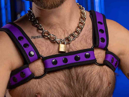 Mister S Neo BOLD COLOR BULLDOG Harness - purple