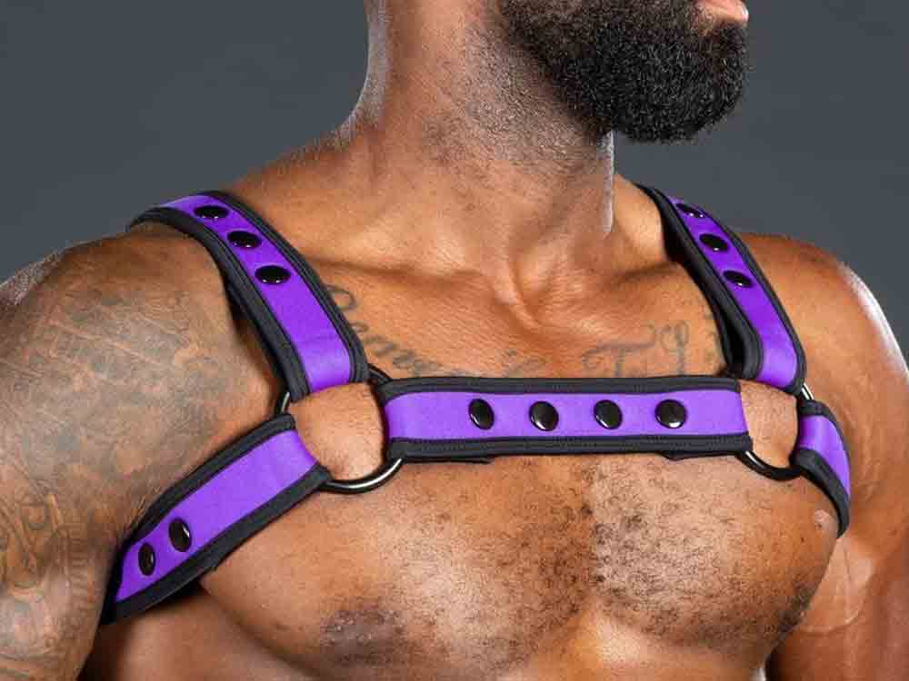 Mister S Neo BOLD COLOR BULLDOG Harness - purple