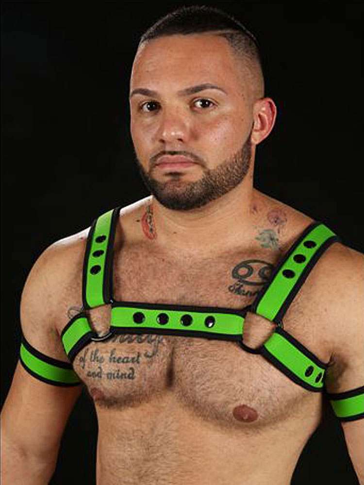 Mister S Neo BOLD COLOR BULLDOG Harness - lime