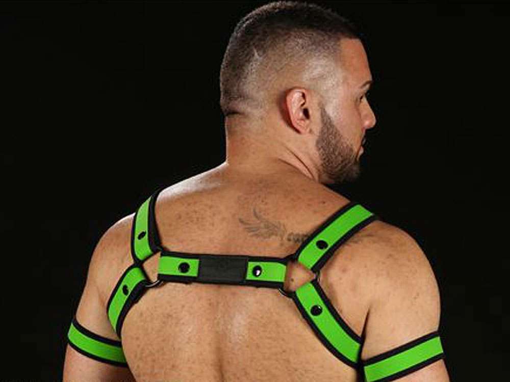 Mister S Neo BOLD COLOR BULLDOG Harness - lime