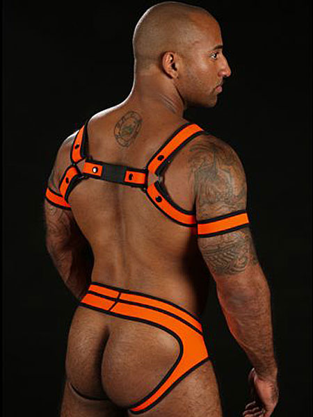 Mister S Neo BOLD COLOR BULLDOG Harness - orange