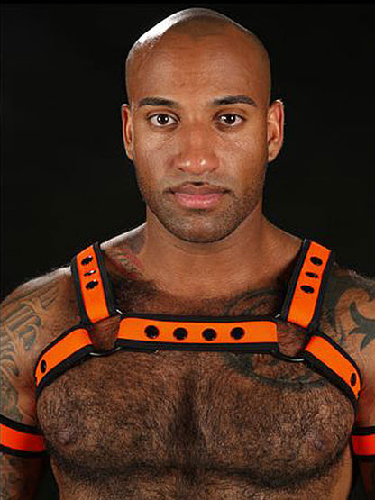 Mister S Neo BOLD COLOR BULLDOG Harness - orange