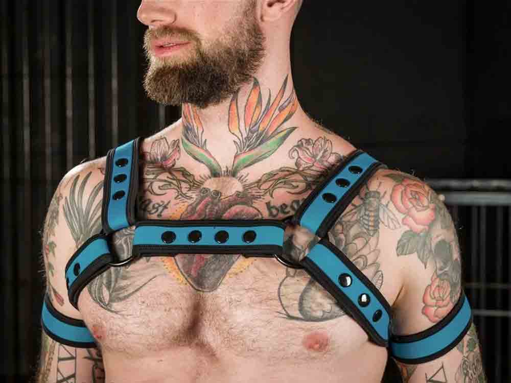 Mister S Neo BOLD COLOR BULLDOG Harness - aqua