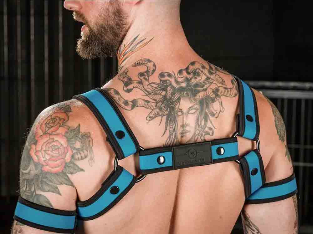 Mister S Neo BOLD COLOR BULLDOG Harness - aqua