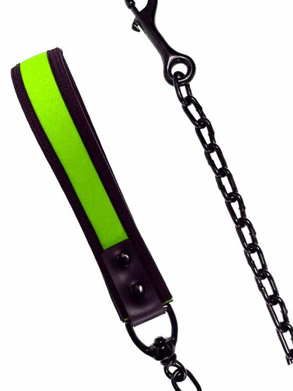 Mister S Neopren Hundeleine - lime