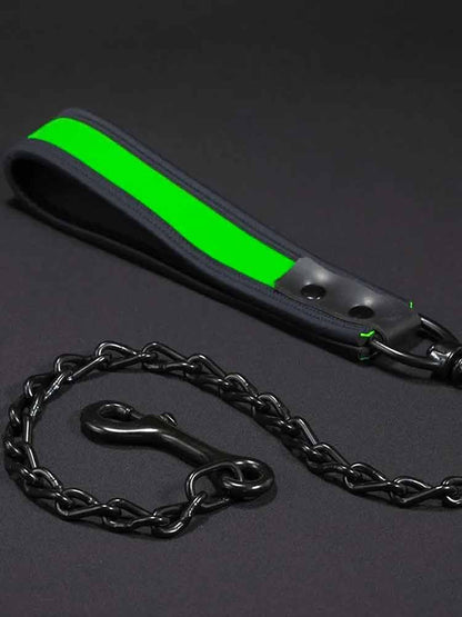 Mister S Neopren Hundeleine - lime