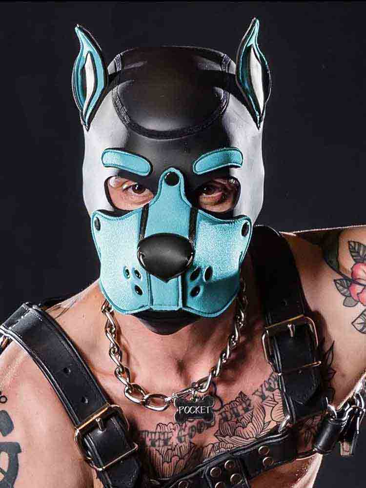 Mister S Neopren K9 Puppy-Maske - schwarz/aqua