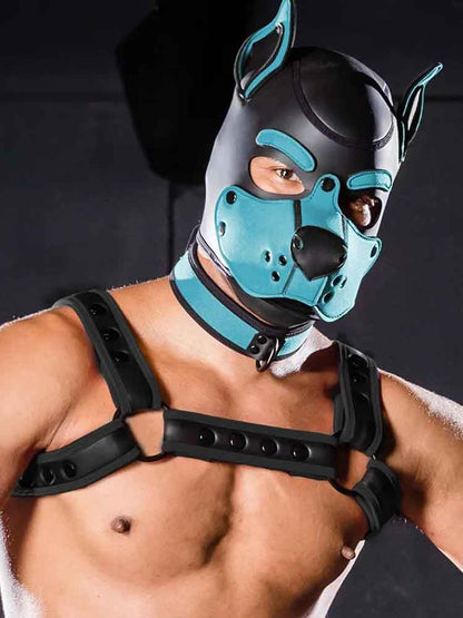 Mister S Neopren K9 Puppy-Maske - schwarz/aqua