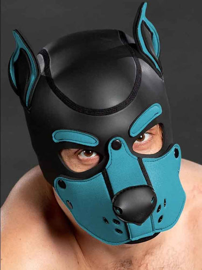 Mister S Neopren K9 Puppy-Maske - schwarz/aqua