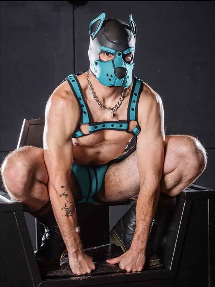 Mister S Neopren K9 Puppy-Maske - schwarz/aqua