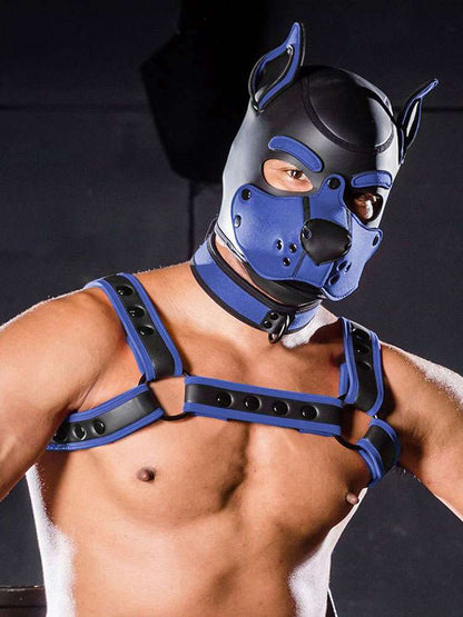 Mister S Neopren K9 Puppy-Maske - schwarz/royal