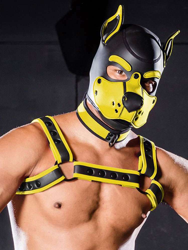 Mister S Neopren K9 Puppy-Maske - schwarz/gelb