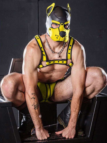 Mister S Neopren K9 Puppy-Maske - schwarz/gelb