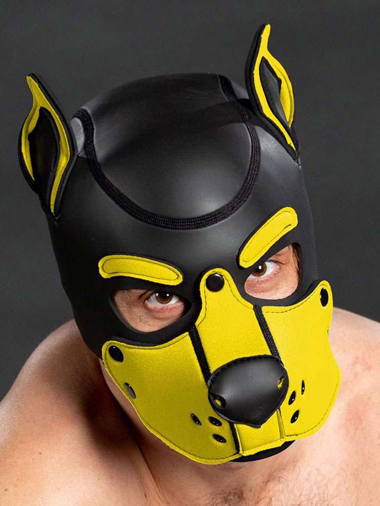 Mister S Neopren K9 Puppy-Maske - schwarz/gelb