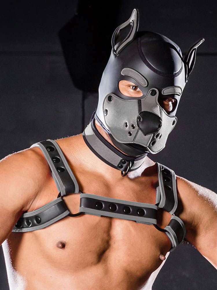 Mister S Neopren K9 Puppy-Maske - schwarz/grau