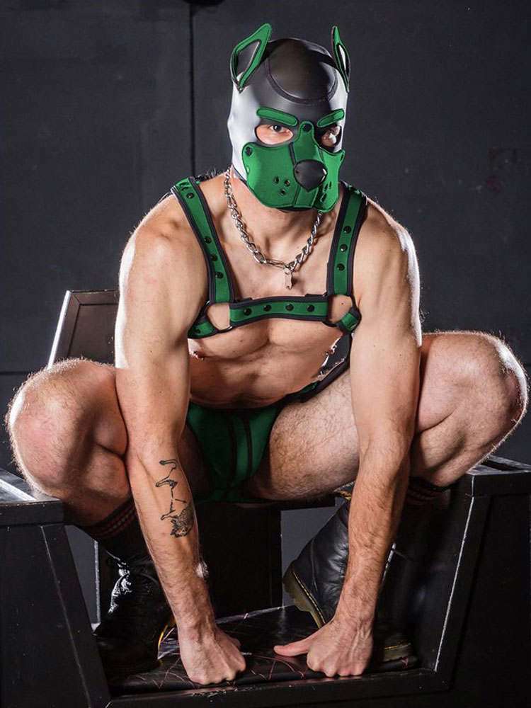 Mister S Neopren K9 Puppy-Maske - schwarz/hunter grün
