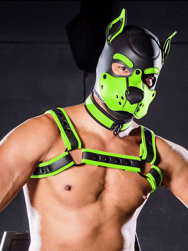 Mister S Neopren K9 Puppy-Maske - schwarz/lime