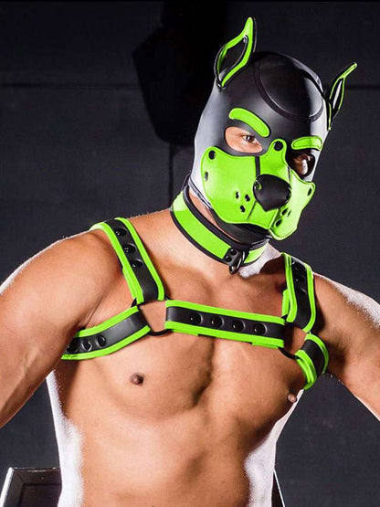 Mister S Neopren K9 Puppy-Maske - schwarz/lime