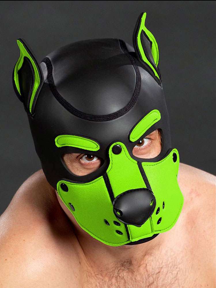 Mister S Neopren K9 Puppy-Maske - schwarz/lime