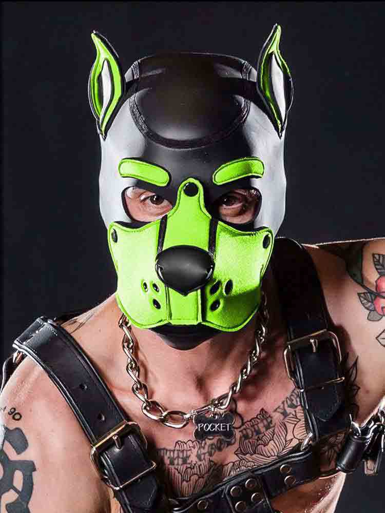 Mister S Neopren K9 Puppy-Maske - schwarz/lime