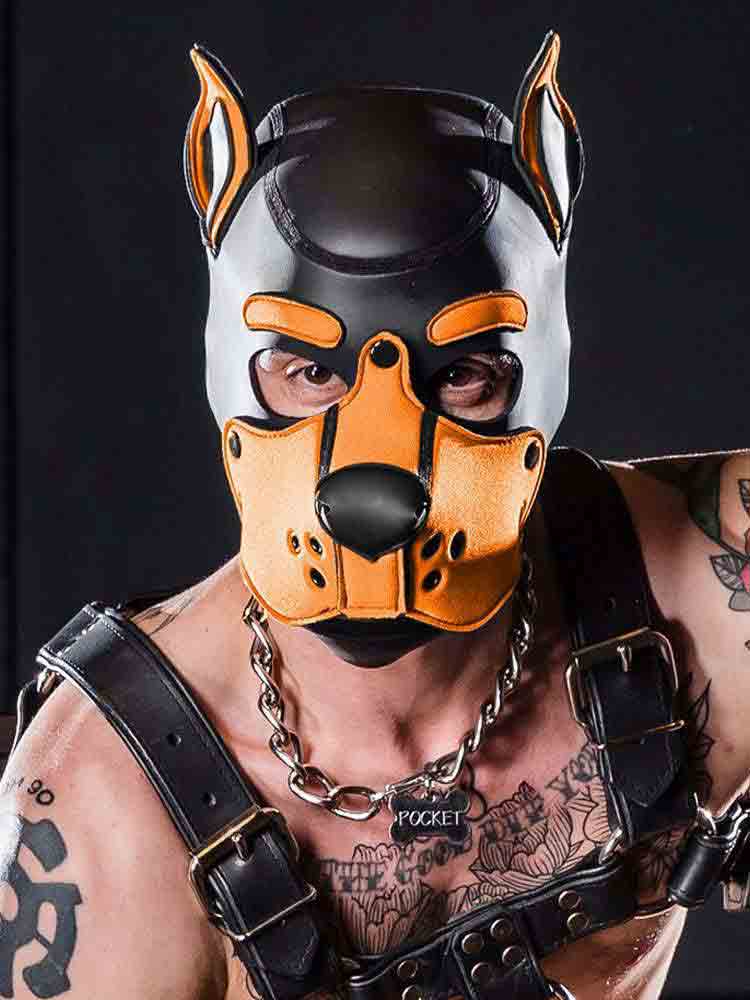 Mister S Neopren K9 Puppy-Maske - schwarz/orange