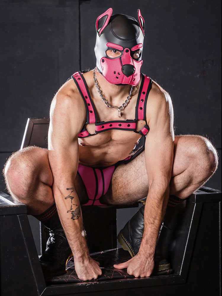 Mister S Neopren K9 Puppy-Maske - schwarz/pink