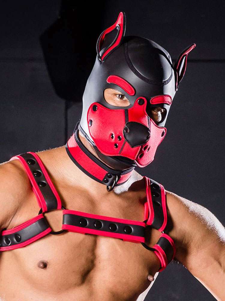 Mister S Neopren K9 Puppy-Maske - schwarz/rot
