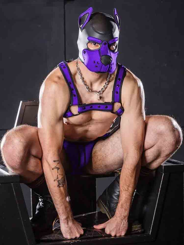 Mister S Neopren K9 Puppy-Maske - schwarz/purple