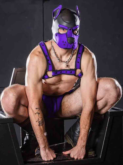 Mister S Neopren K9 Puppy-Maske - schwarz/purple