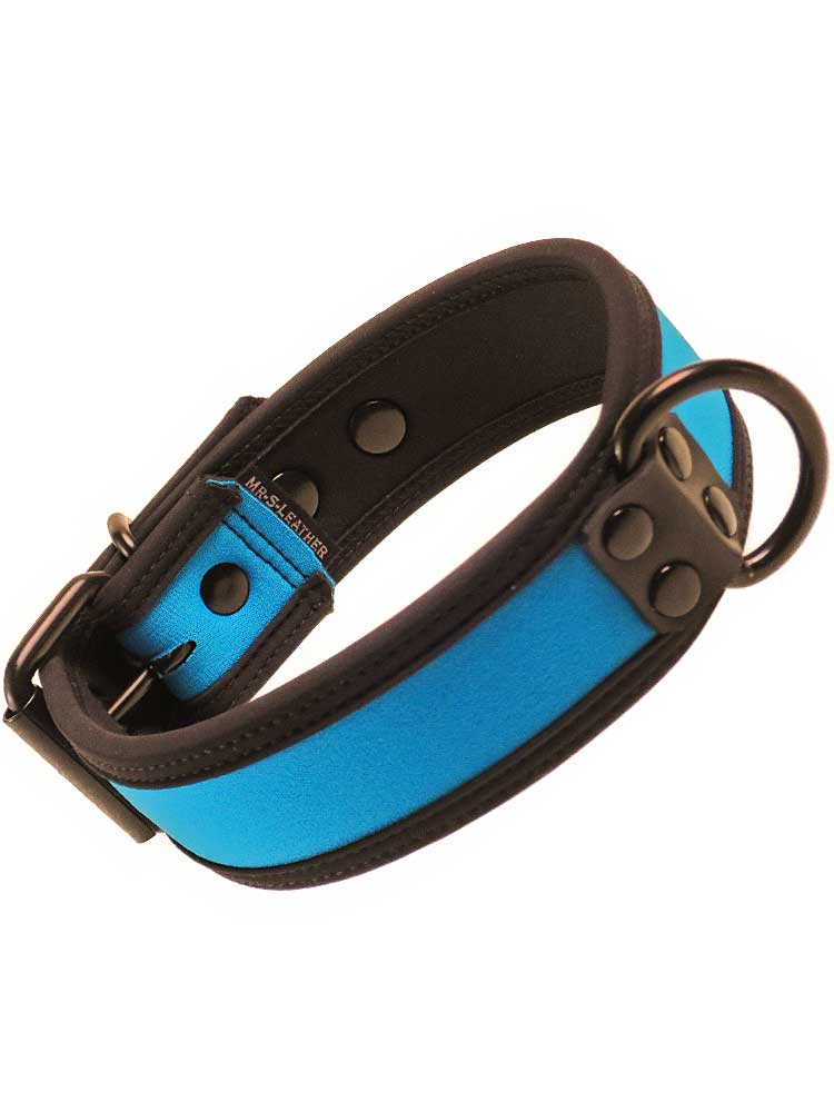 Mister S Neopren Puppy Halsband - aqua/schwarz