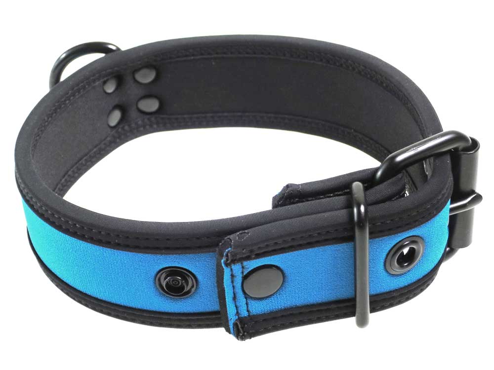 Mister S Neopren Puppy Halsband - aqua/schwarz