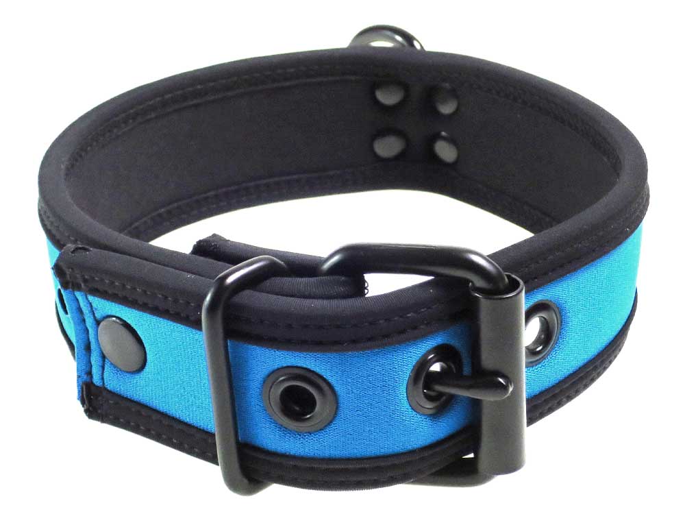 Mister S Neopren Puppy Halsband - aqua/schwarz