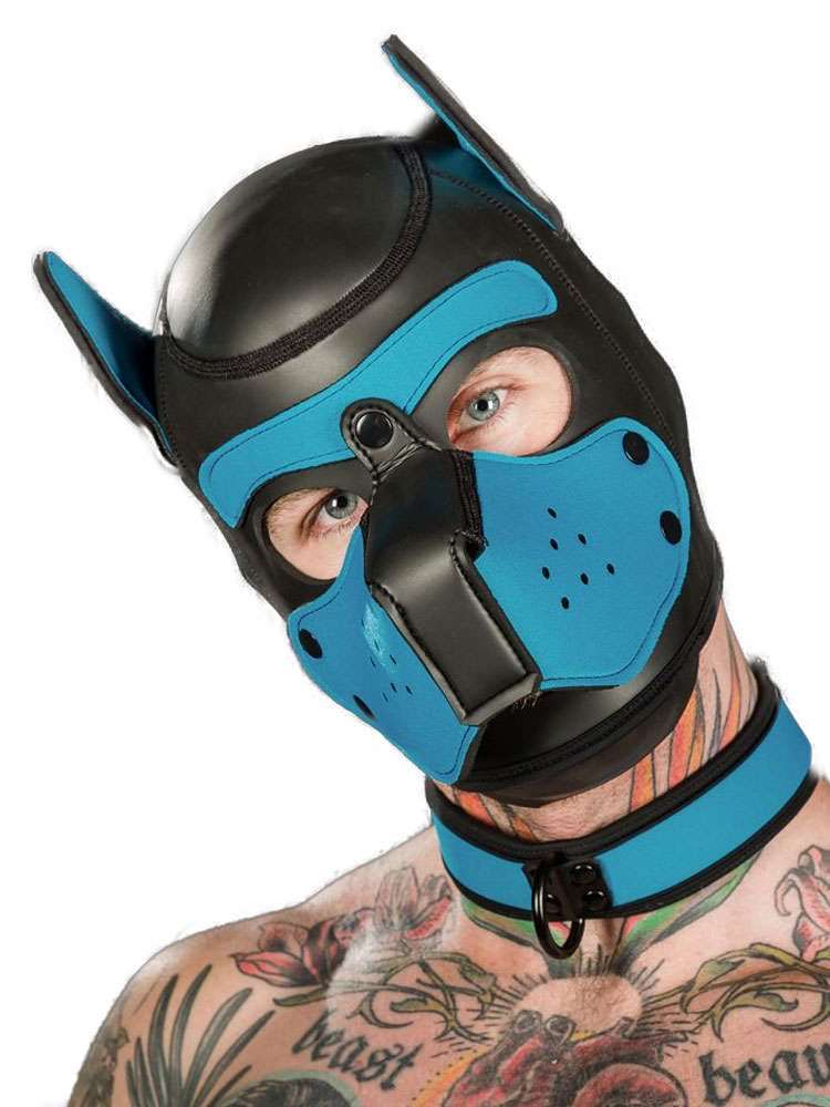 Mister S Neopren Puppy Halsband - aqua/schwarz