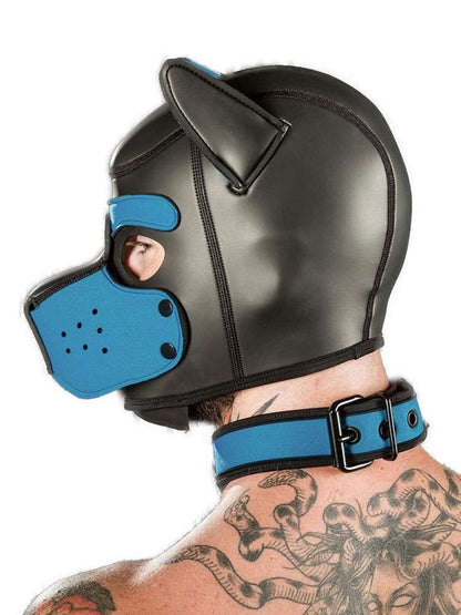 Mister S Neopren Puppy Halsband - aqua/schwarz