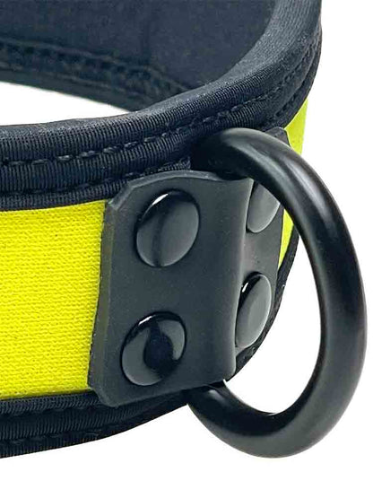 Mister S Neopren Puppy Halsband - gelb/schwarz