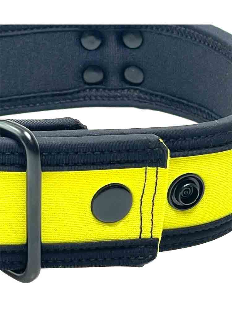 Mister S Neopren Puppy Halsband - gelb/schwarz