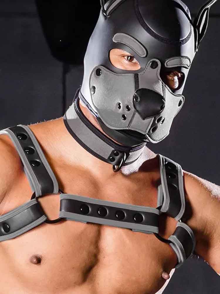Mister S Neopren Puppy Halsband - grau/schwarz
