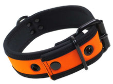 Mister S Neopren Puppy Halsband - orange/schwarz