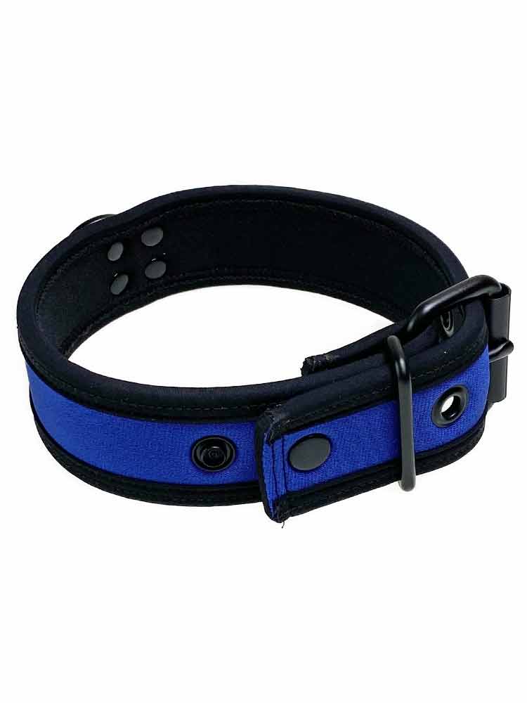 Mister S Neopren Puppy Halsband - royal/schwarz
