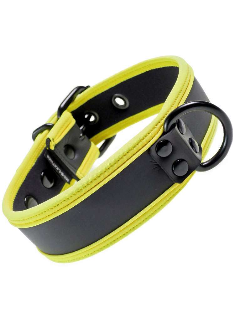 Mister S Neopren Puppy Halsband - schwarz/gelb