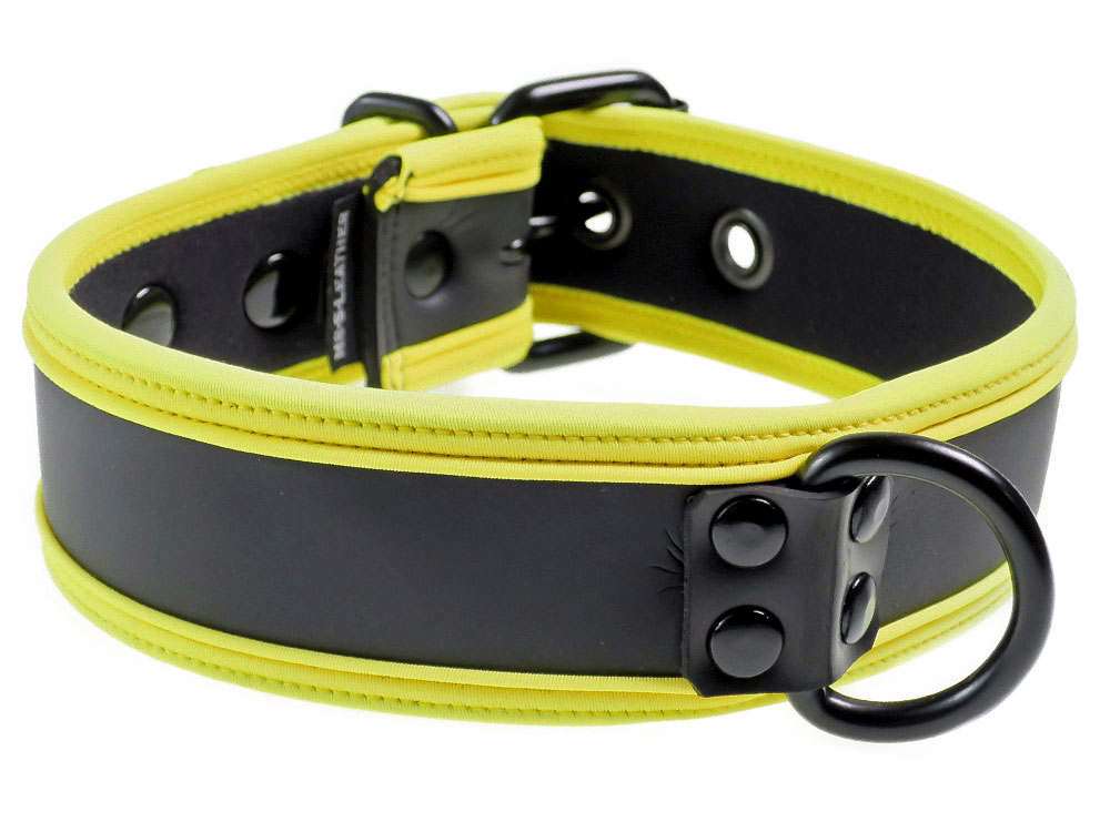 Mister S Neopren Puppy Halsband - schwarz/gelb