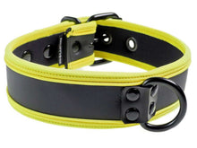 Mister S Neopren Puppy Halsband - schwarz/gelb