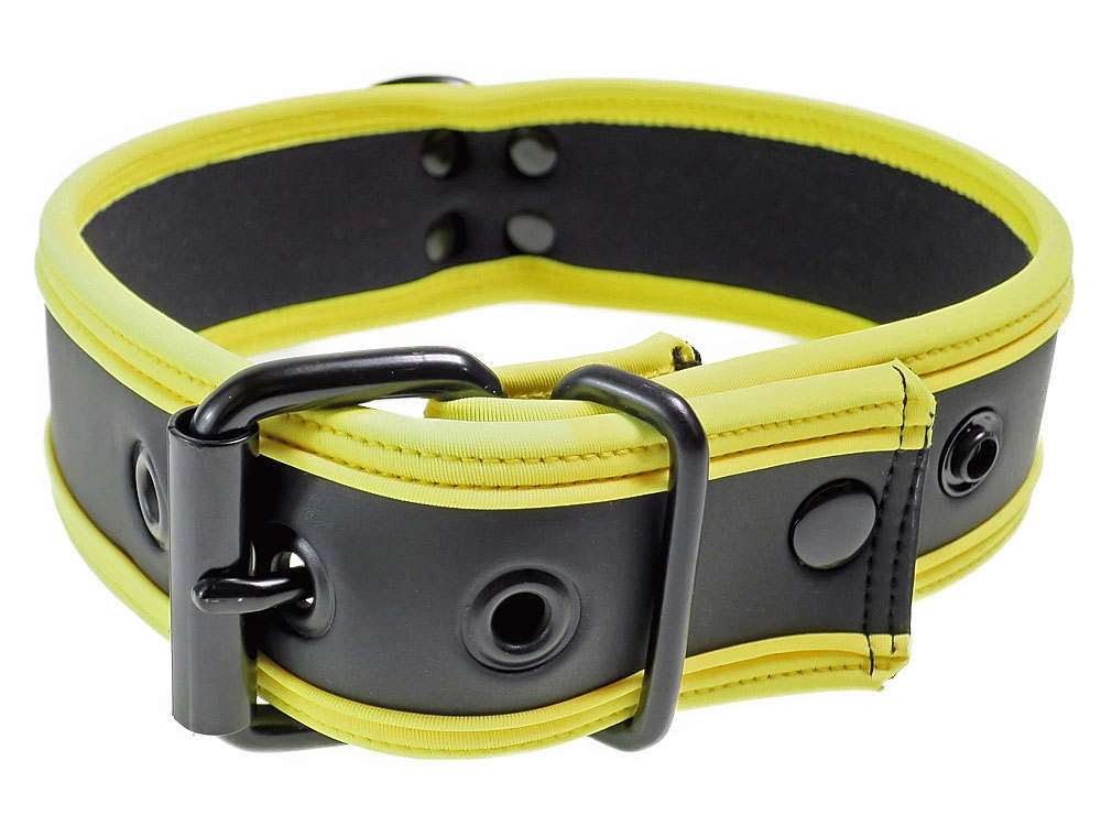Mister S Neopren Puppy Halsband - schwarz/gelb