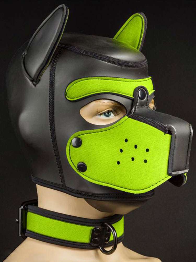 Mister S Neopren Puppy Halsband - lime/schwarz