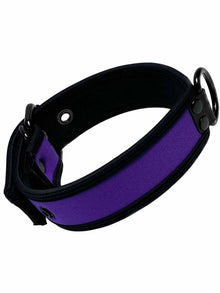 Mister S Neopren Puppy Halsband - purple/schwarz
