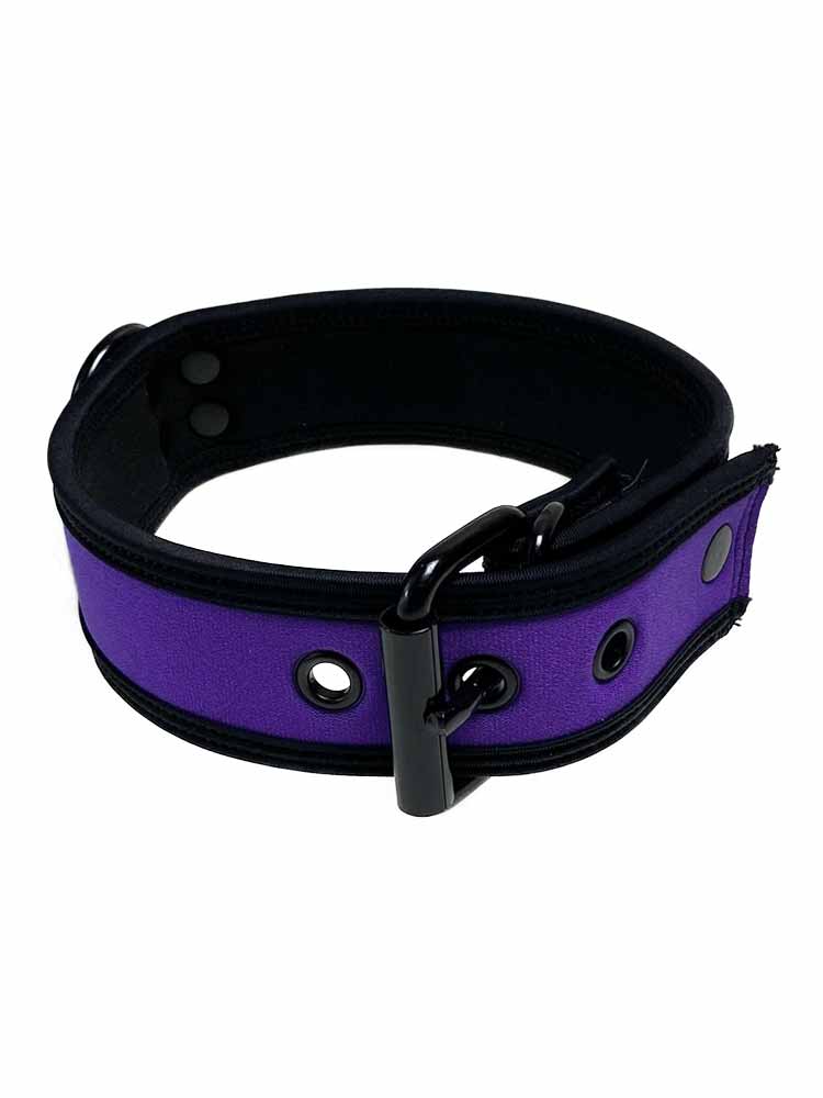 Mister S Neopren Puppy Halsband - purple/schwarz