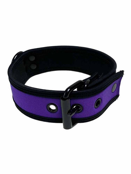 Mister S Neopren Puppy Halsband - purple/schwarz
