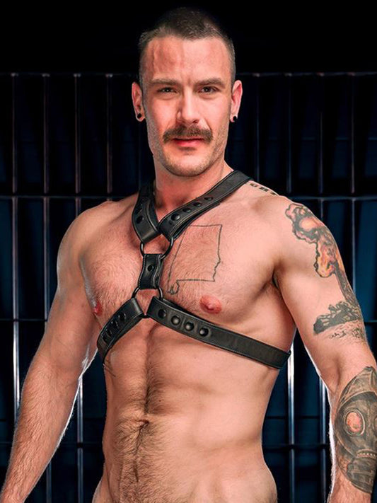 Mister S English Top Harness schwarz