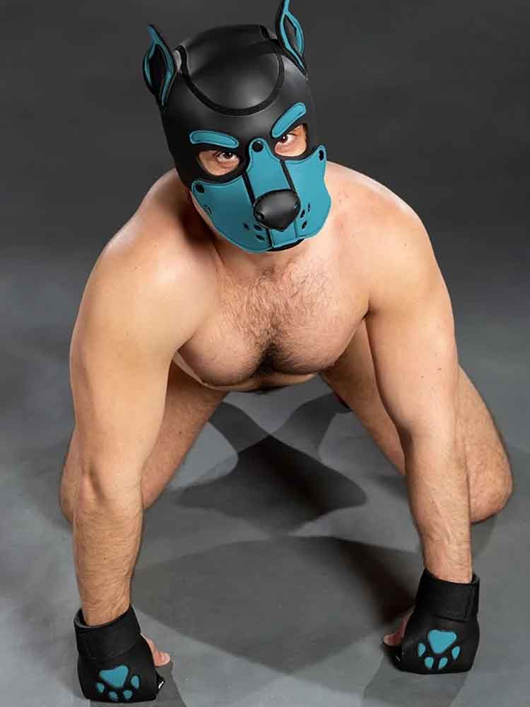 Mister S OPEN PAW Puppy Handschuhe - aqua